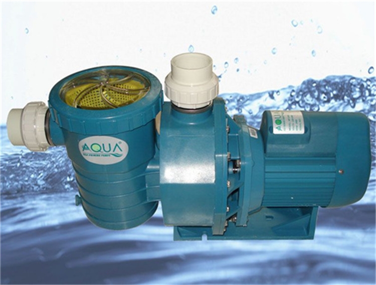 过滤循环水泵 (2)